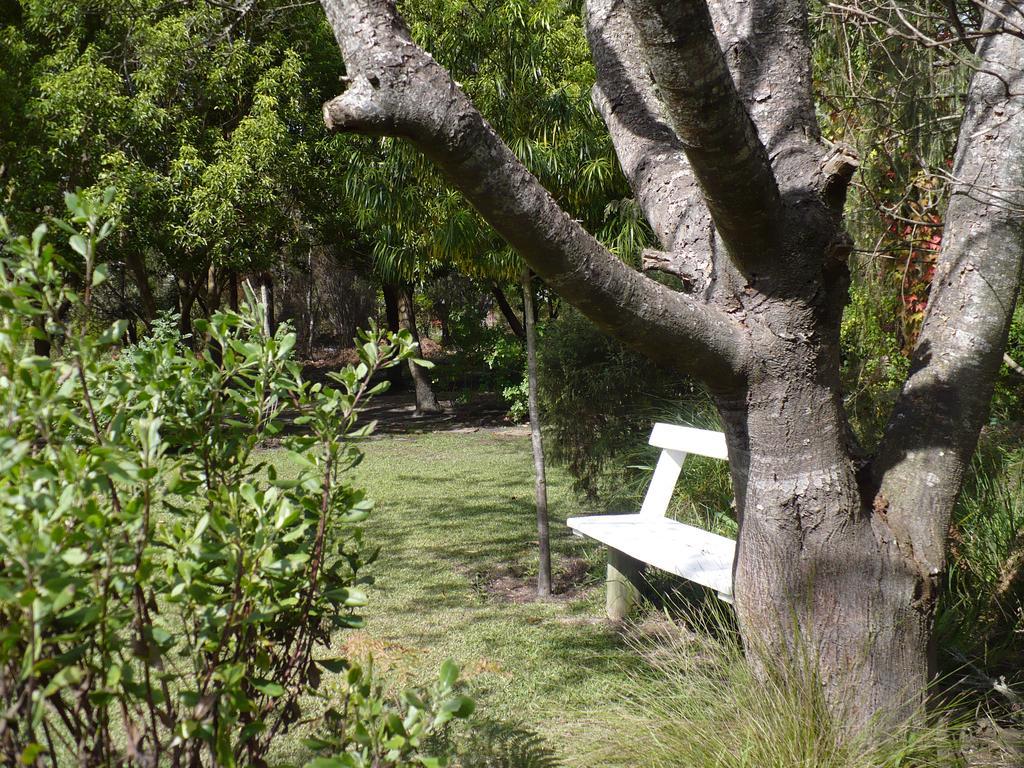 Tsitsikhaya Lodge Stormsrivier Exterior foto